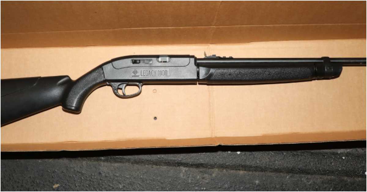 রোজানোর হাতে থাকা বিবি গানকে আসল বন্দুকের মতো মনে হয়েছিল বলে জানায় পুলিশ। ছবি: আইউইটনেস নিউজ